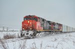 CN 2508